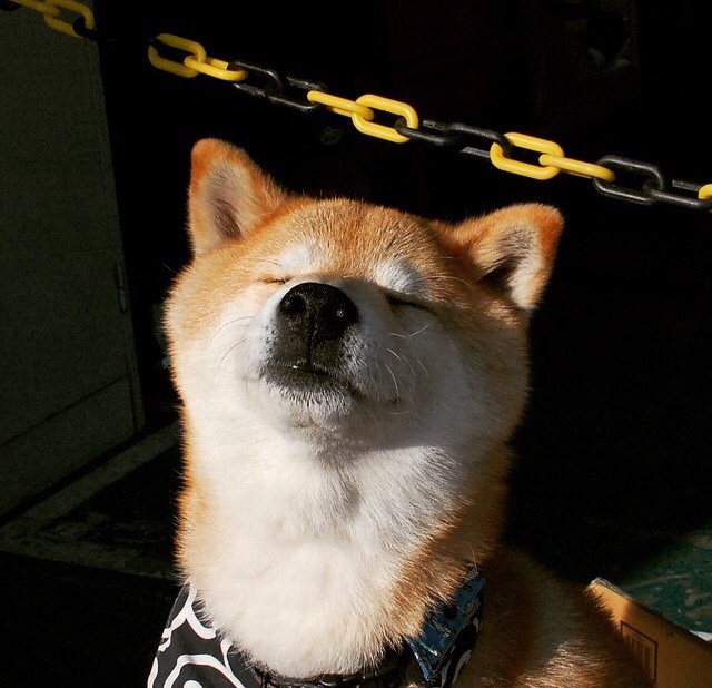 开云体育下载-硬仗之王再证神迹阿圭罗临危救主，从毕尔巴鄂铁血防线到秘鲁高原魔咒的征服者