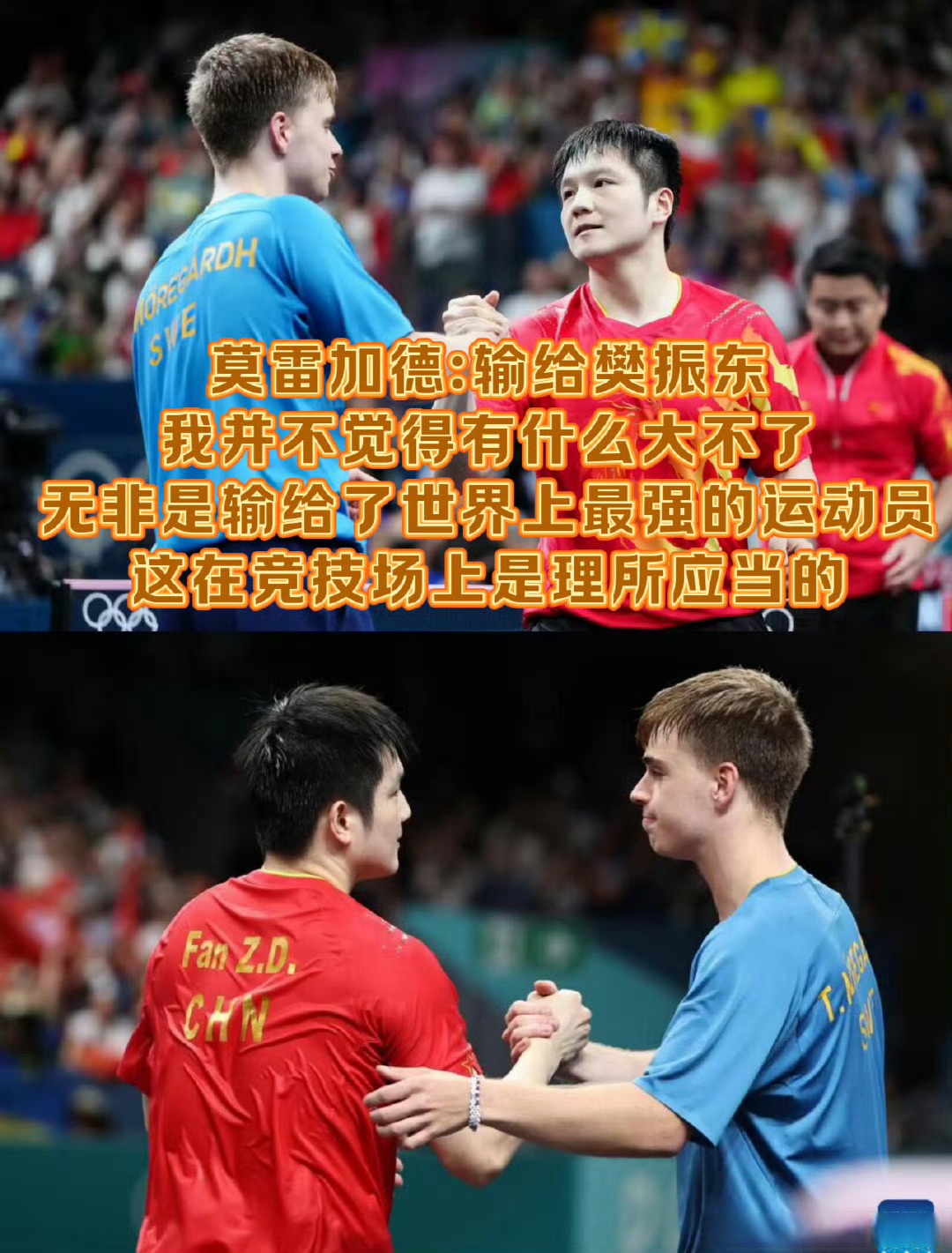 开云体育官方网站-日本队险胜德国队，樊振东带队取胜
