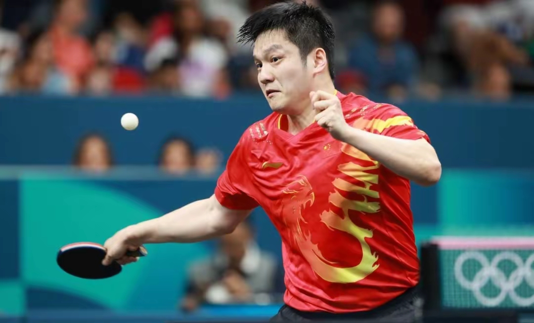 开云平台-波兰队轻取韩国队，樊振东高光表现